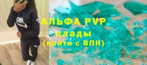 apvp Няндома