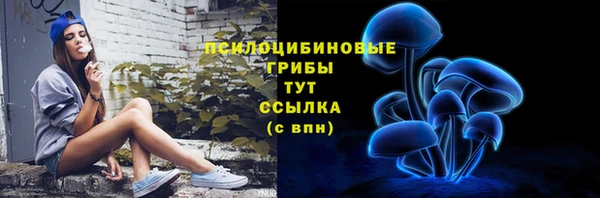 apvp Няндома