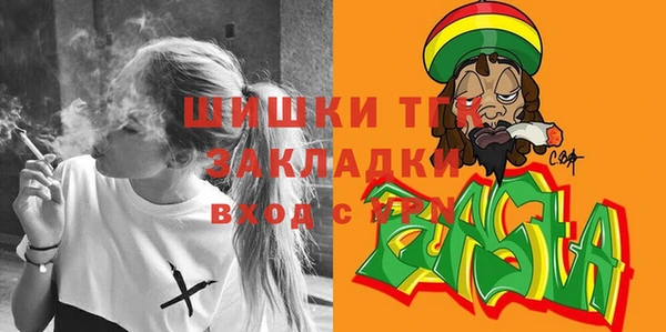 apvp Няндома