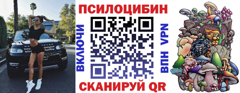 где найти Кореновск Псилоцибиновые грибы Cubensis