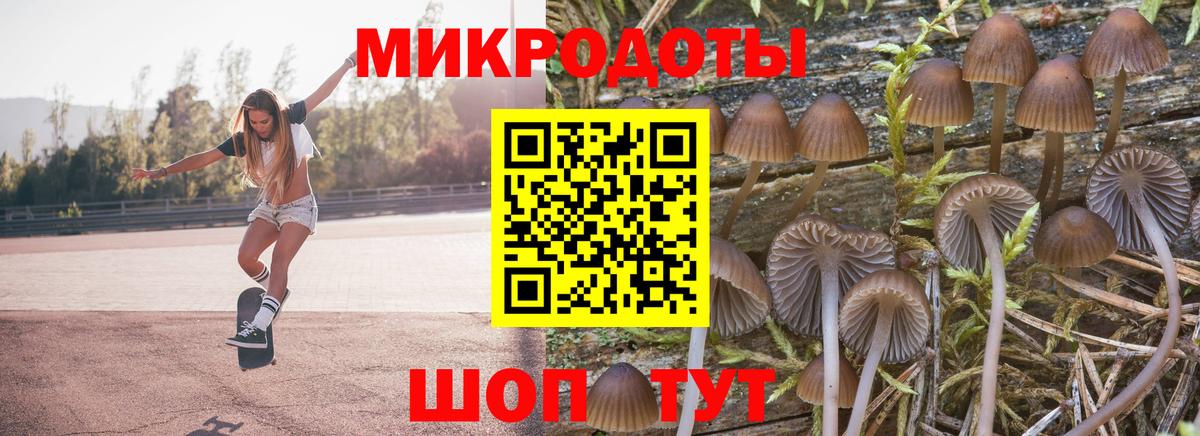 Псилоцибиновые грибы Magic Shrooms Кореновск