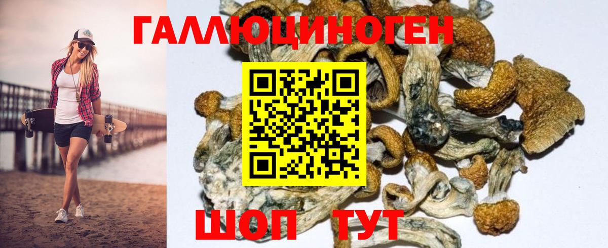 Кореновск  дарнет шоп  Вход с VPN  Галлюциногенные грибы Psilocybe  Псилоцибиновые грибы Magic Shrooms 