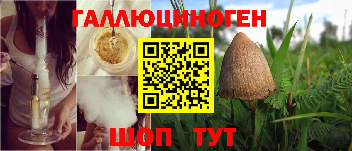 Псилоцибиновые грибы мухоморы  Кореновск  Галлюциногенные грибы Magic Shrooms 